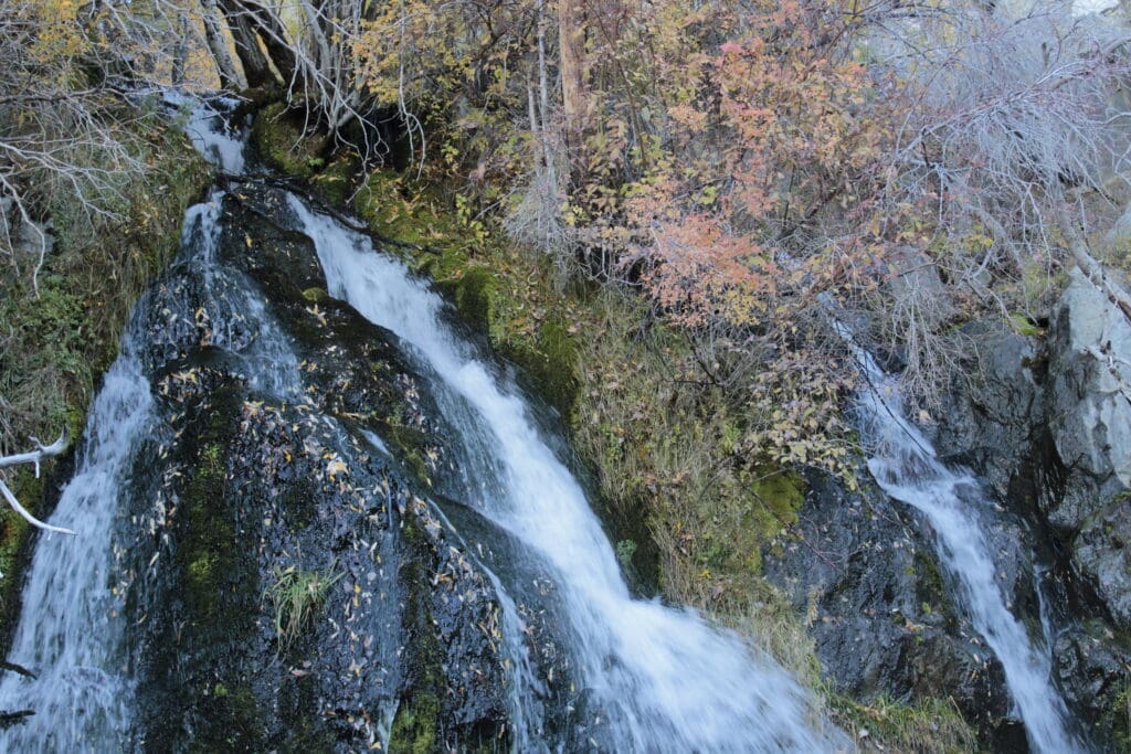 Kings Canyon Falls